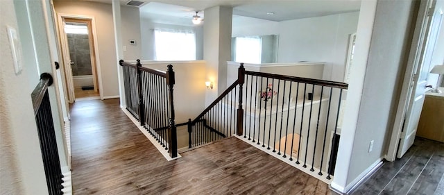 hallway with dark hardwood / wood-style floors