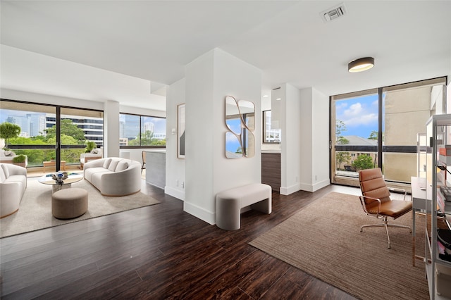 living room featuring dark wood-type flooring