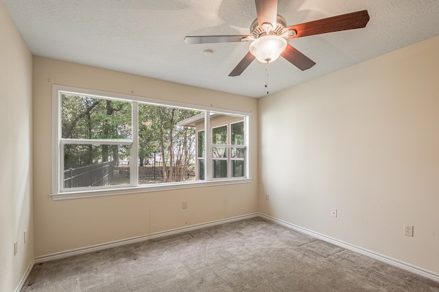 spare room with light carpet, a textured ceiling, and a healthy amount of sunlight