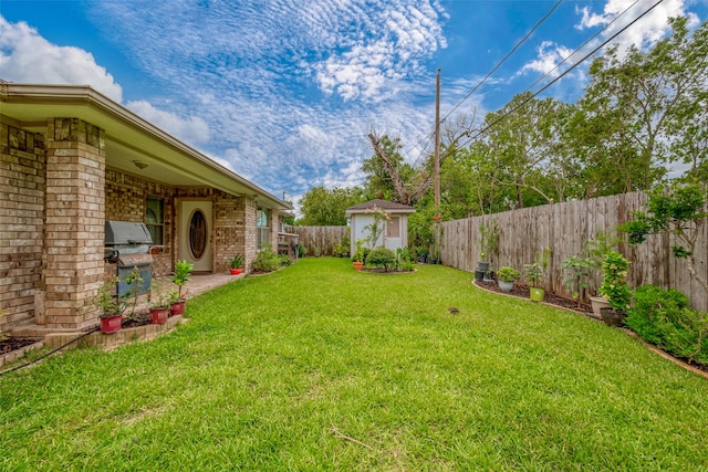 view of yard featuring a shed