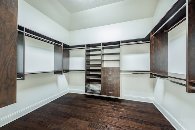 spacious closet featuring dark hardwood / wood-style floors