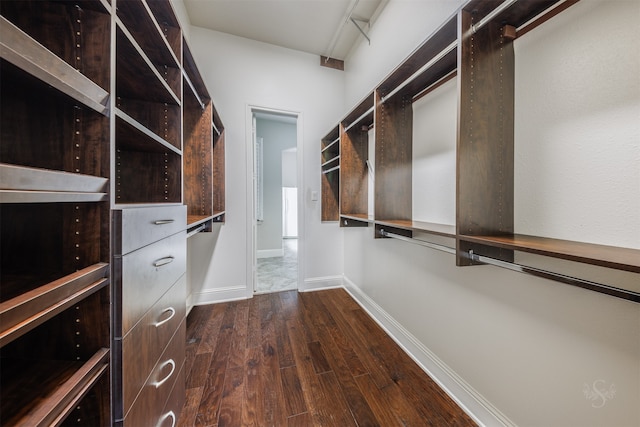 spacious closet with dark wood-type flooring