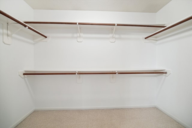 walk in closet with light colored carpet