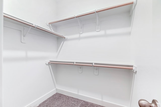 spacious closet featuring carpet flooring