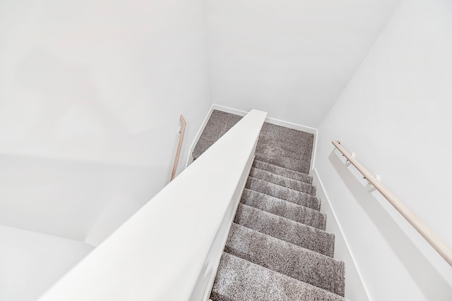 staircase featuring carpet floors