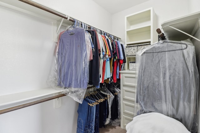 view of walk in closet