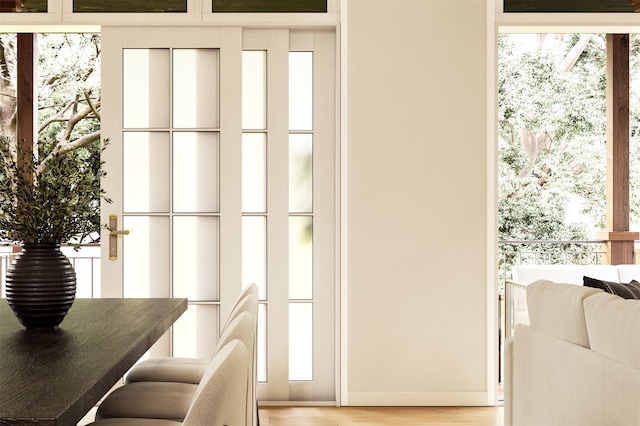 doorway with light wood-type flooring and a healthy amount of sunlight