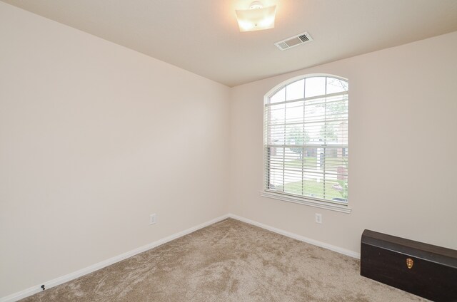 carpeted empty room featuring a healthy amount of sunlight