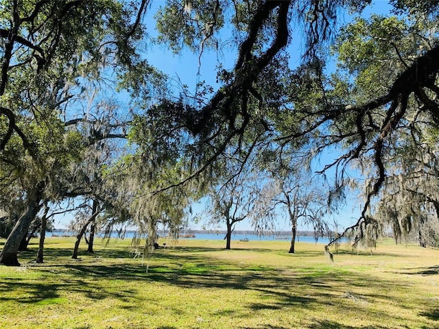 274 Pony Trl, Angleton, TX 77515