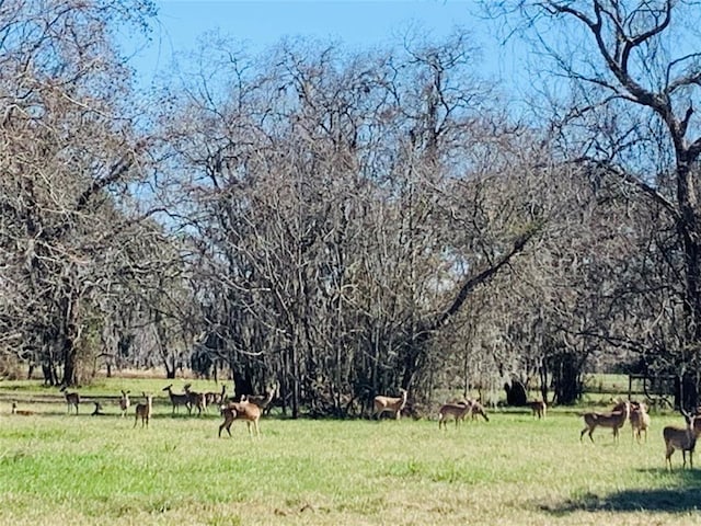 274 Pony Trl, Angleton, TX 77515