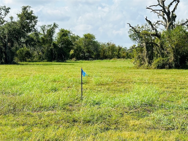 Listing photo 3 for 274 Pony Trl, Angleton TX 77515