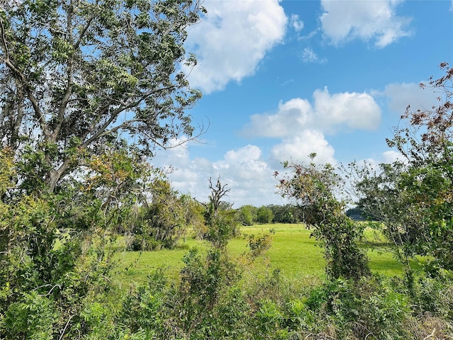 274 Pony Trl, Angleton, TX 77515