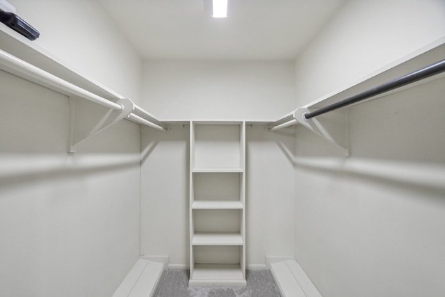 spacious closet with carpet flooring