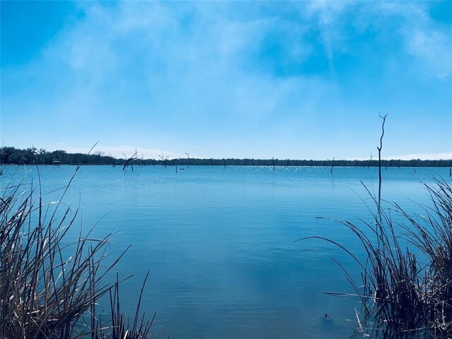 330 Sandy Trl, Angleton, TX 77515 - photo 9