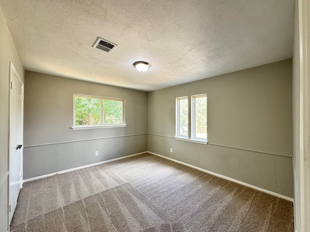 carpeted empty room with a textured ceiling and a healthy amount of sunlight