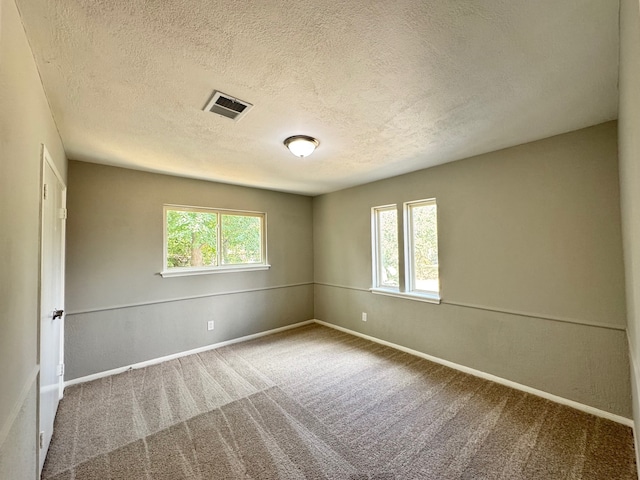 spare room with a textured ceiling, carpet flooring, and a wealth of natural light