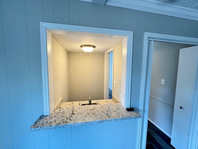 bathroom featuring wood-type flooring and sink