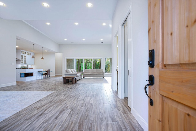 entrance foyer featuring wood-type flooring