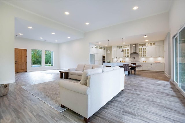 living room featuring light hardwood / wood-style floors