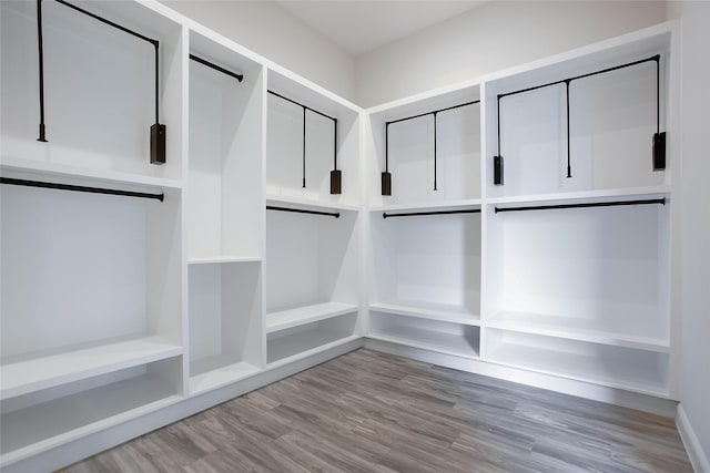 walk in closet with hardwood / wood-style floors