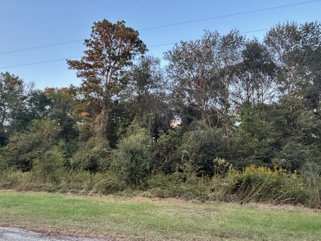 0 Lady Ellen, Hockley TX, 77447 land for sale