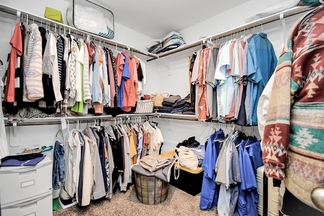 spacious closet featuring carpet floors