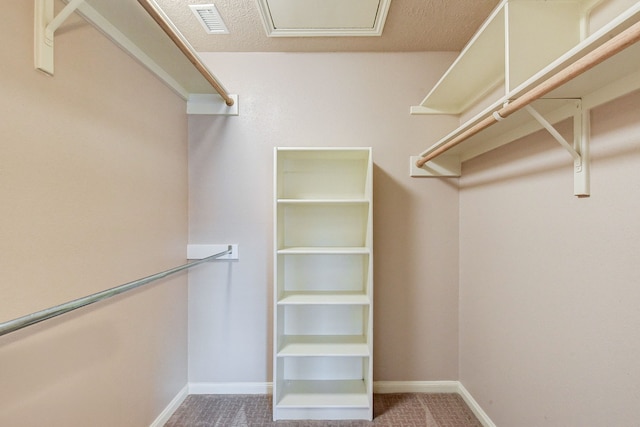 walk in closet featuring carpet flooring