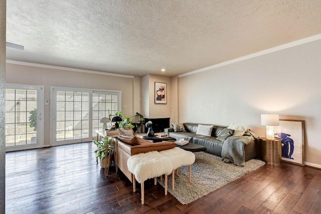 living room with crown molding, a textured ceiling, and dark hardwood / wood-style flooring