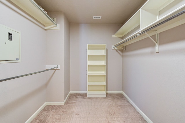 spacious closet featuring light carpet