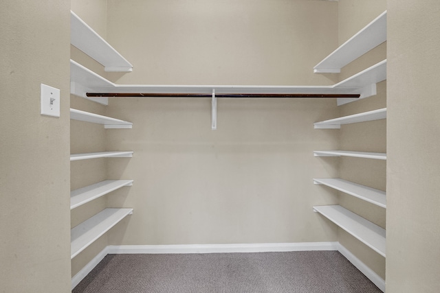 spacious closet featuring carpet floors