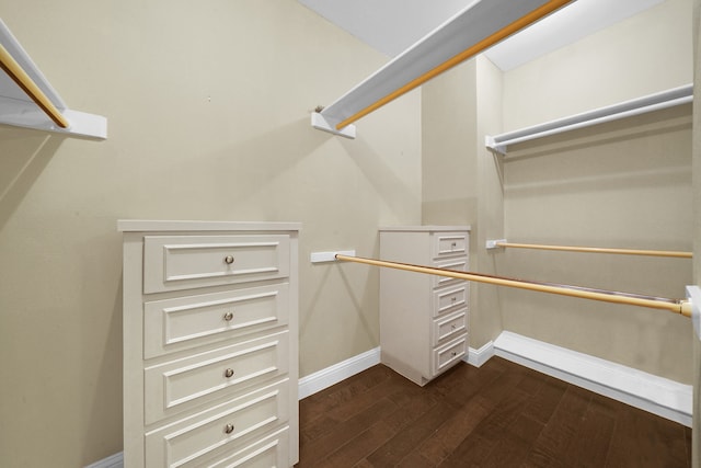 walk in closet with dark hardwood / wood-style floors