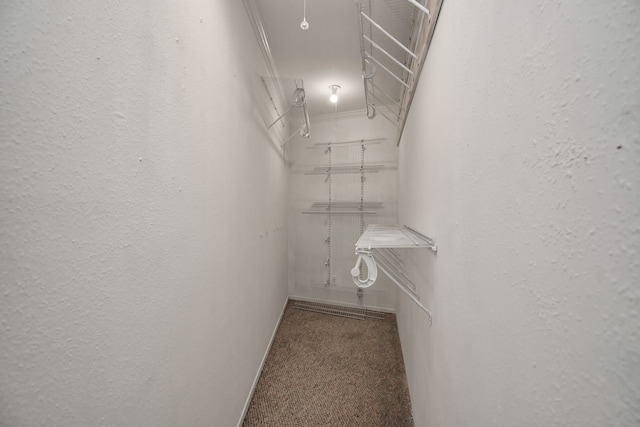 spacious closet with carpet floors