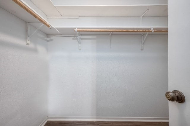 spacious closet with dark wood-type flooring