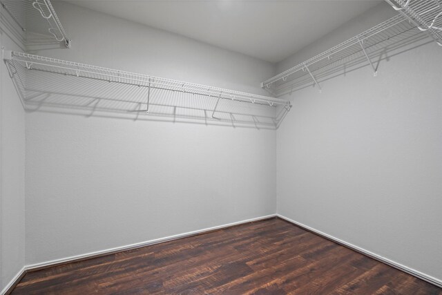 spacious closet featuring dark hardwood / wood-style flooring