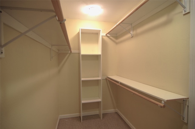 spacious closet featuring carpet floors