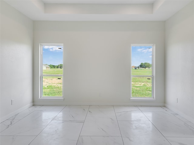 spare room with plenty of natural light and a raised ceiling