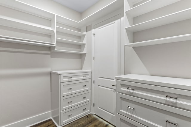 spacious closet featuring dark hardwood / wood-style floors