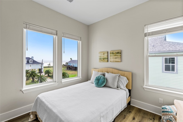 bedroom featuring multiple windows and wood-type flooring