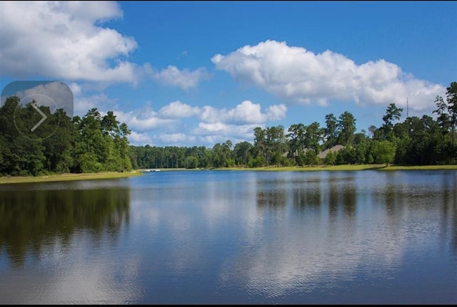 view of water feature with a forest view