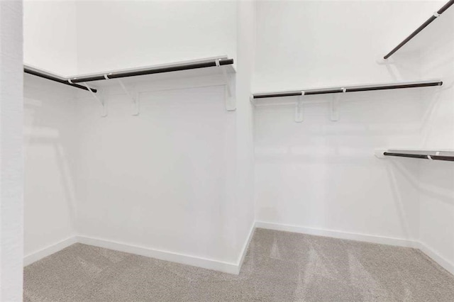 walk in closet featuring light colored carpet