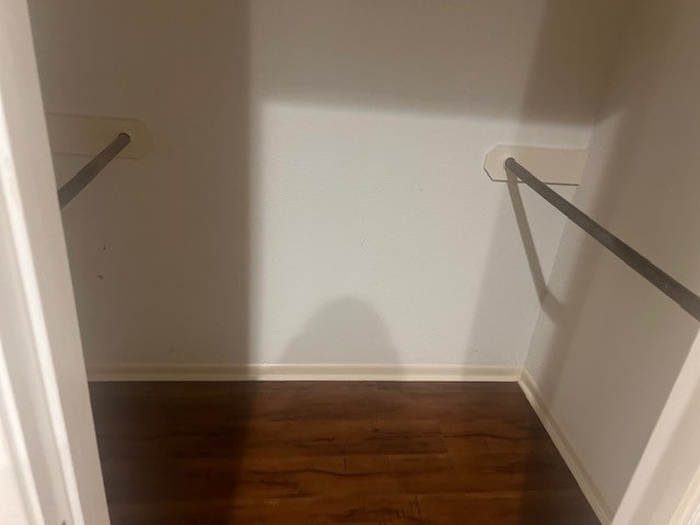 spacious closet featuring dark wood-type flooring