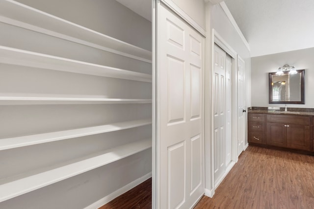 closet with sink