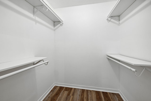 walk in closet featuring dark hardwood / wood-style floors