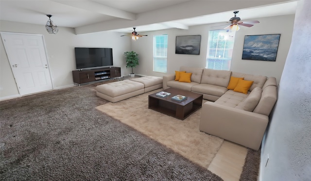 carpeted living room featuring beam ceiling and ceiling fan