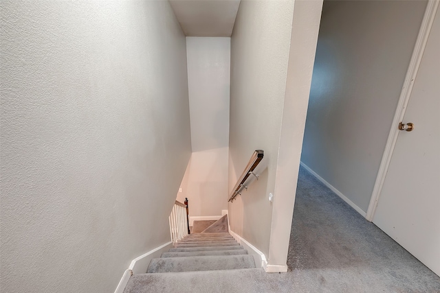 stairway featuring carpet flooring