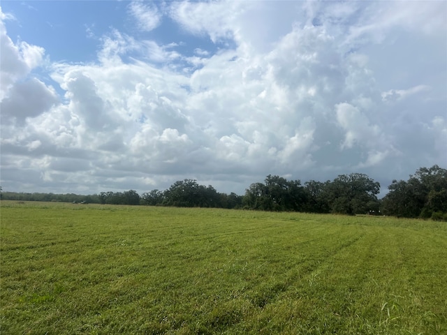 Listing photo 3 for 1238 Frontier Trl, Angleton TX 77515