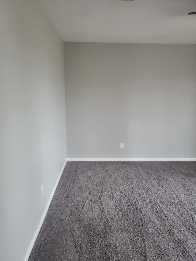 spare room with carpet floors