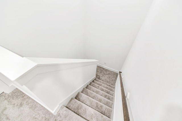 staircase featuring carpet