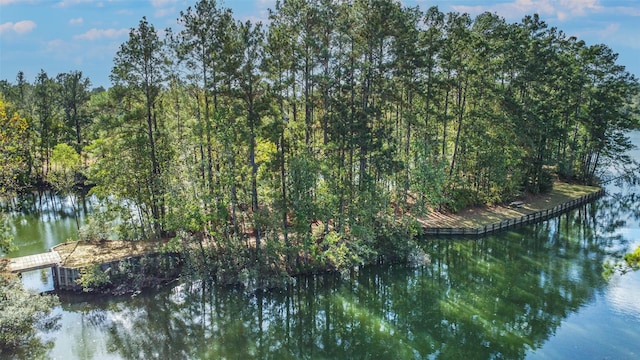 55 Nottingham Is, Cleveland, TX 77327 - photo 8