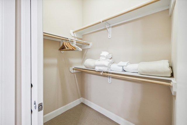 walk in closet featuring carpet flooring